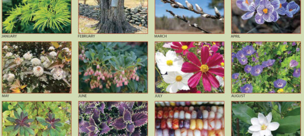 Colorful thumbnail photos illustrate the 12 months of the 2022 "UMass Garden Calendar." (Photos by UMass Extension staff members)