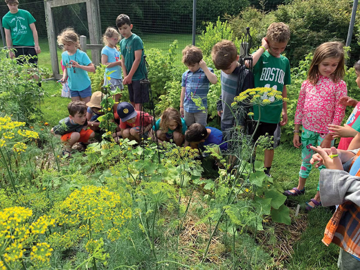 Veggie Garden Design Class – Blithewold Arboretum