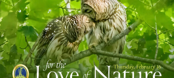 For the Love of Nature – Sudbury Valley Trustees’ Virtual Benefit Gala