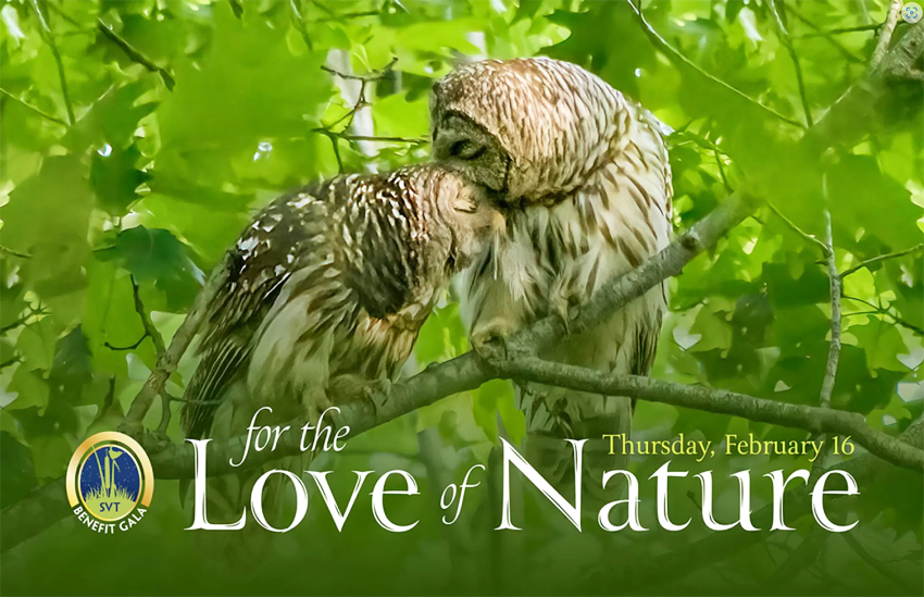 For the Love of Nature – Sudbury Valley Trustees’ Virtual Benefit Gala