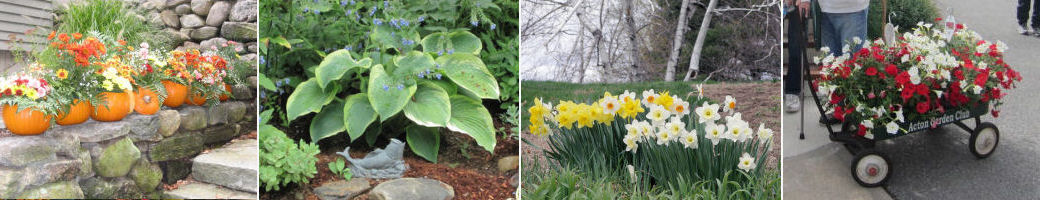 The Acton Garden Club’s Annual Plant Sale and Raffle