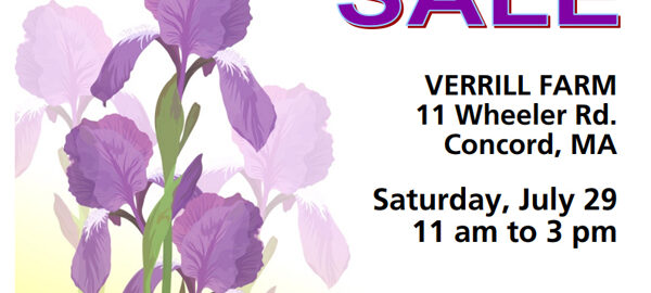 Iris Society of Massachusetts (ISM) Iris Plant Sale